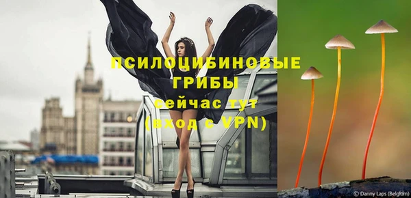 каннабис Алзамай