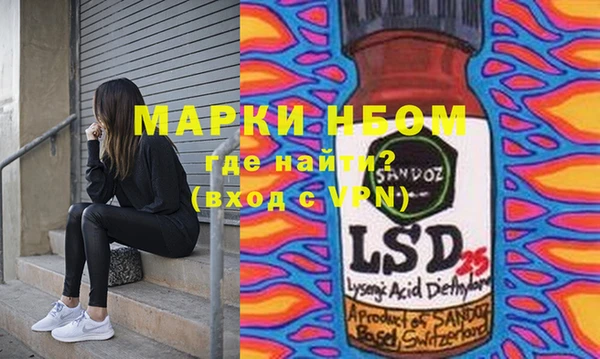 хмурый Алексин