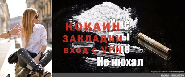 хмурый Алексин