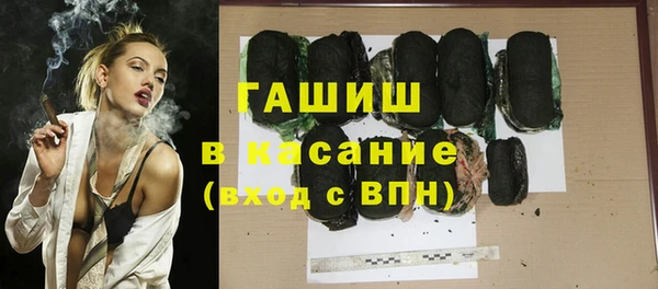 хмурый Алексин
