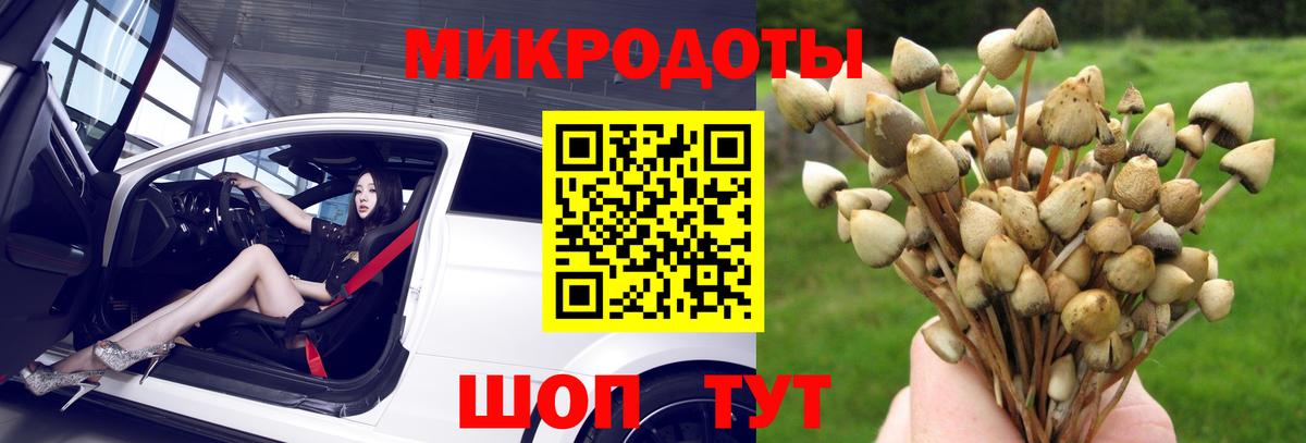 Псилоцибиновые грибы Psilocybine cubensis  Вход с VPN  Тулун 
